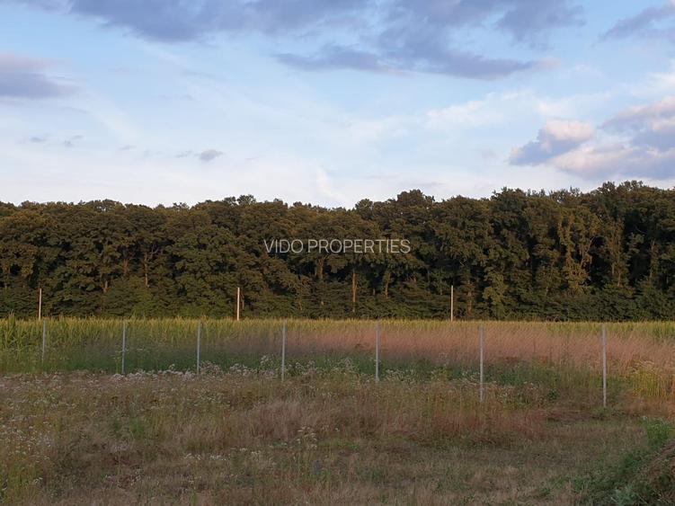 TEREN CONSTRUCTII-INTRAVILLAN-SUPERB-SNAGOV-PADURE-UTILITATI-PROIECT - 5