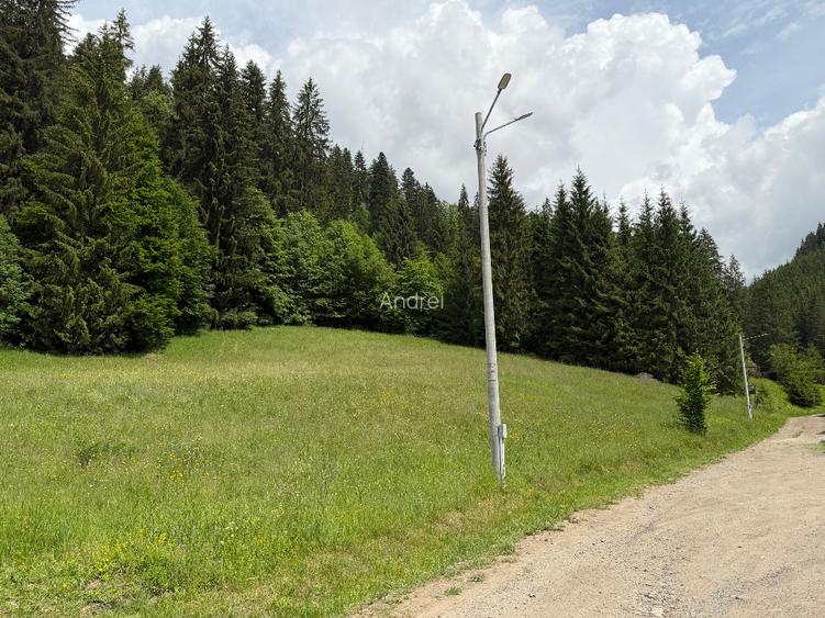 Teren de vânzare în Toplița – oportunitate pentru investiție turistică - 5