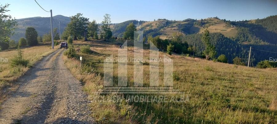 Teren intravilan | 3565 mp | Ideal constructie cabane | Garda de Sus - 4