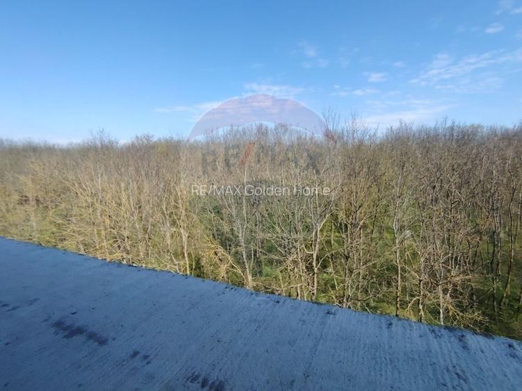 Apartament 4 camere CRANGUL PETRESTI. - 9