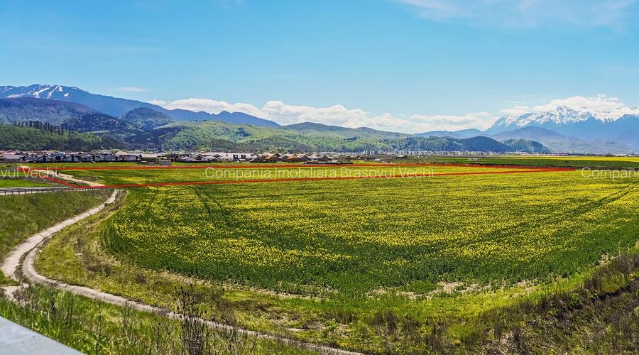 Brasov - Cristian, teren intravilan 34.000 mp, oferta pentru dezvoltatori. - 6