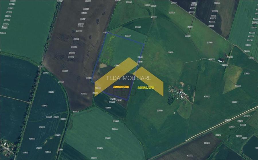 Teren 6,8ha extravilan de vanzare Zimandu Nou - 2