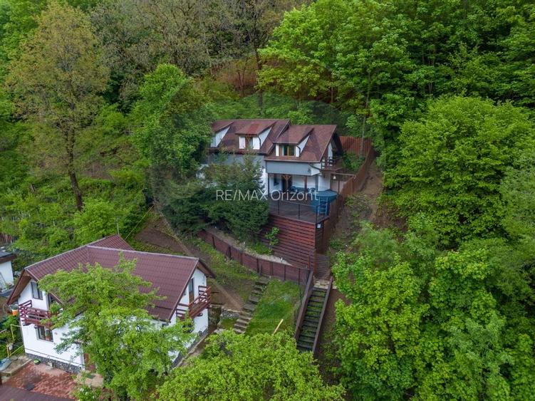 OPORTUNITATE INVESTITIE CU POTENTIAL TURISTIC, Centrul Istoric! - 36