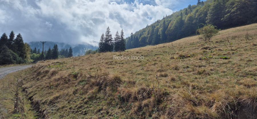 Teren deosebit in cadru de poveste langa cabana Diham, Glajerie - 8