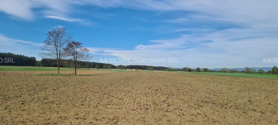 TEREN AGRICOL EXTRAVILAN - RECI - COVASNA - 3