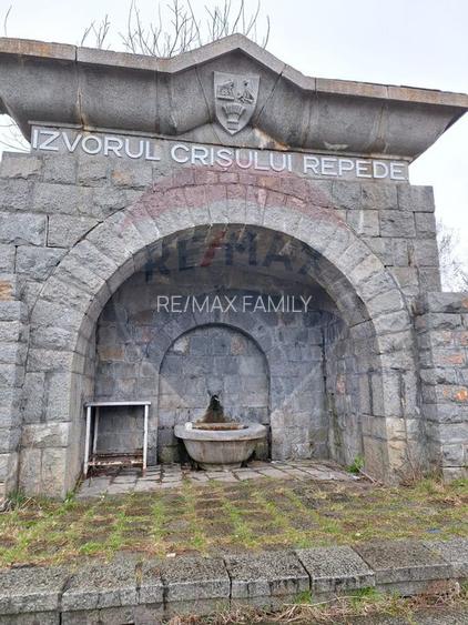 Pensiune/Hotel HANUL IZVORUL CRISUL REPEDE - 12