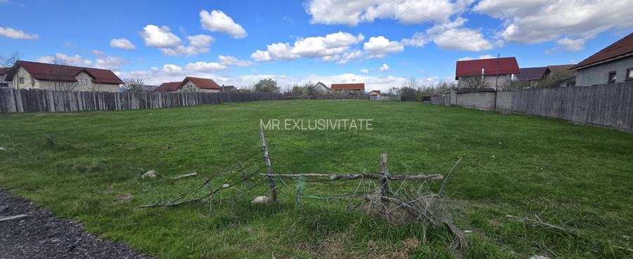 Teren parcelabil - 5