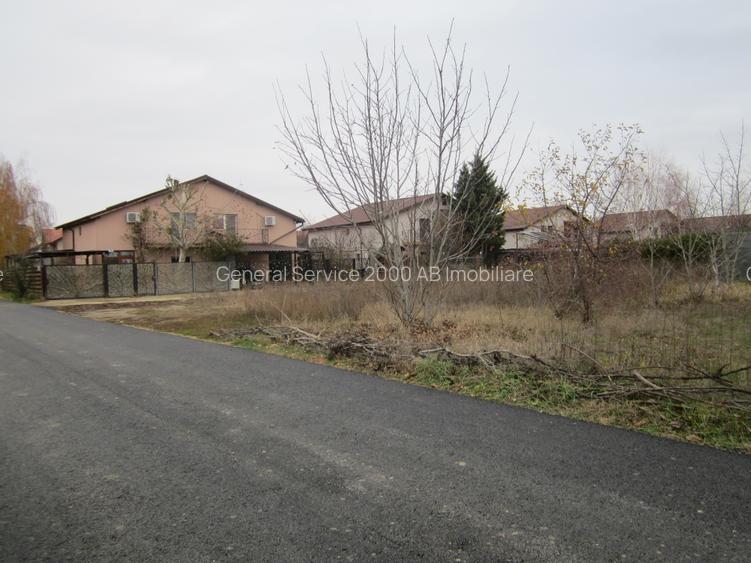 Drumul Targului-Stelelor - 5