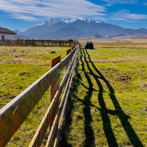 Teren intravilan Râșnov – Glejerie  5 parcele x 1000 mp  Capăt Str. Greierilor - 8