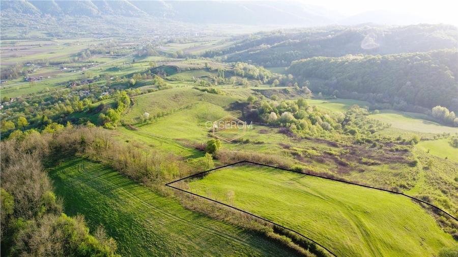 Teren de 9.500 mp in Maramures | Varf de deal, priveliste de pus in rama | Retre - 3