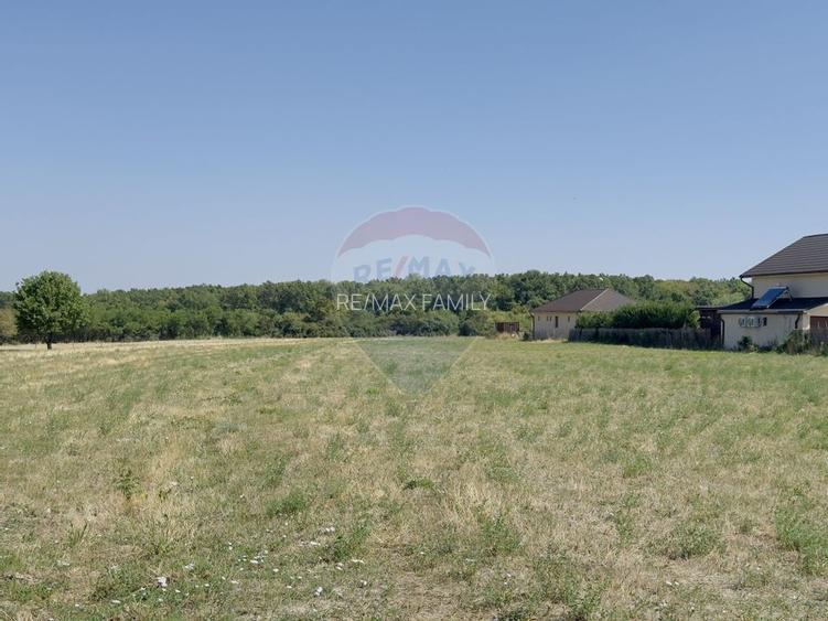 Teren 2,841mp Apateu / Strada Principala langa Biserica Ortodoxa - 10