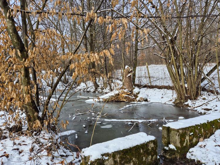 Moșia boierească din vârf de deal, Scorțeni - Prahova, comision 0% - 15