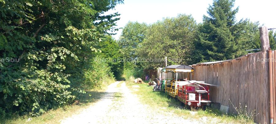 Teren intravilan in Sibiu Porumbacu de Sus - 4