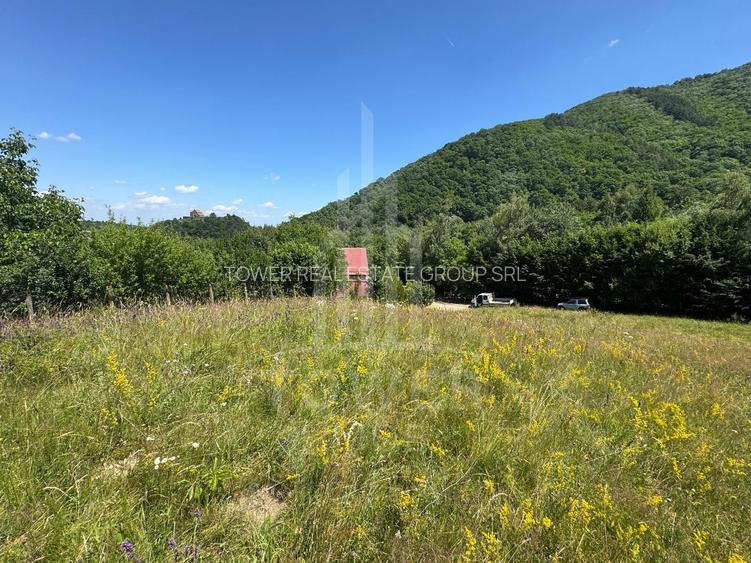 Teren intravilan 4600mp - 55 EUR/mp - EXCLUSIVITATE CISNADIOARA - COMISION 0% - 8