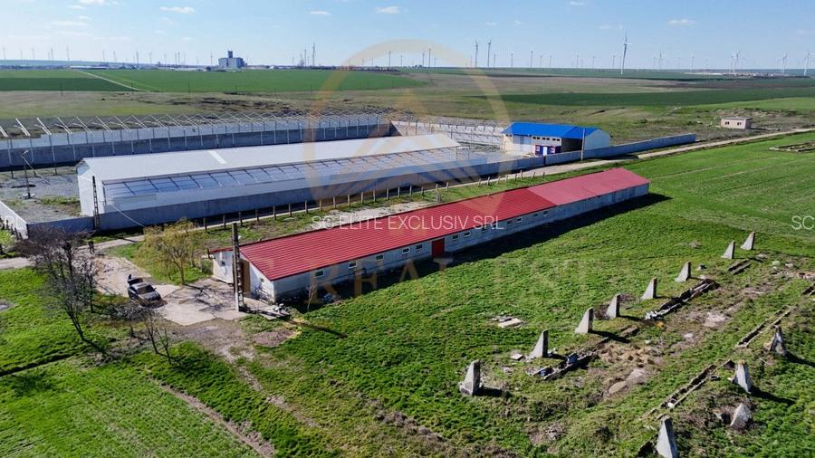 Tariverde - Ferma zootehnica functionala, 3 hectare teren intravilan! - 7