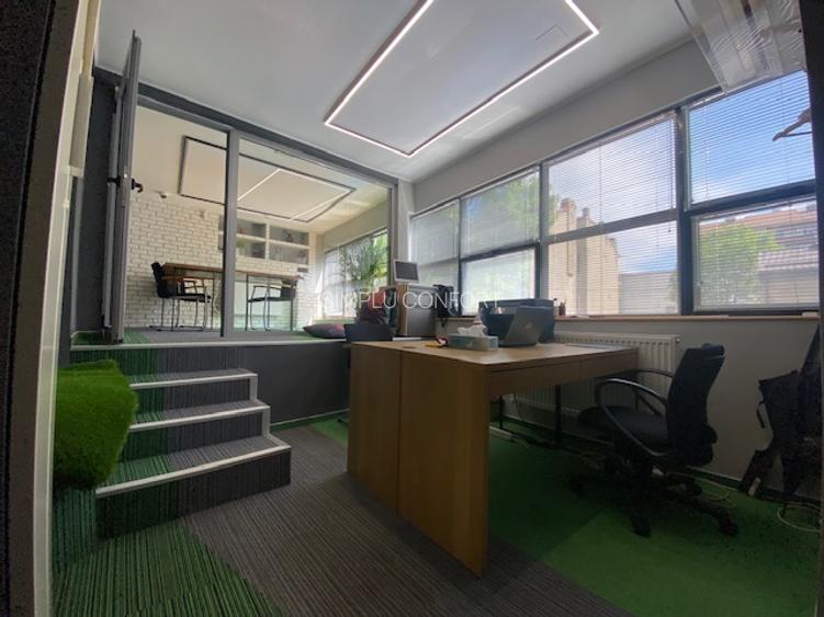 Cismigiu-Mircea Vulcanescu - 7