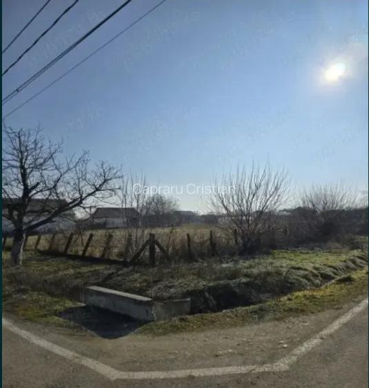 Vand teren intravilan Jebel 5 parcele, intre 500-750mp bucata - 4