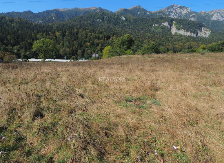 TEREN PENTRU DEZVOLTARE SINAIA-CUMPATU Str. Zamora-9.801 mp-Comision 0% - 11