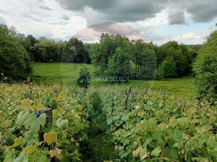 Vânzare casa la munte - zona turistica - Baia de Fier - 26