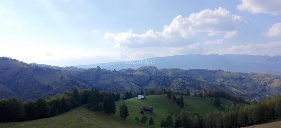 Teren superb extravilan, cu vedere la hotel Matca si muntii Bucegi - 5