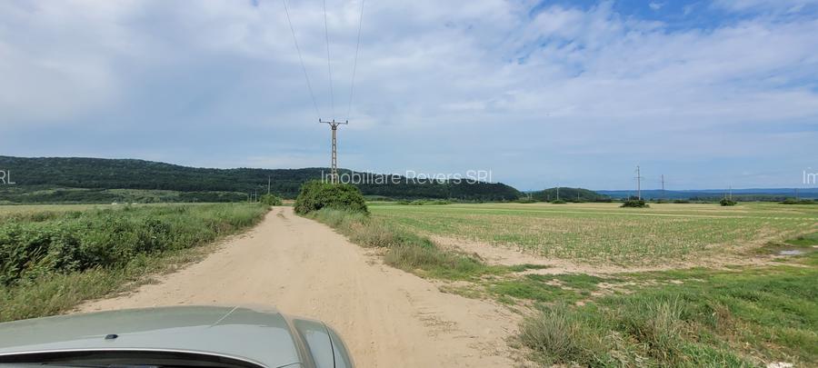 TEREN AGRICOL BABENI LANGA ABATOR LA PROVINCIA - pretabil ferma cu panour solare - 15