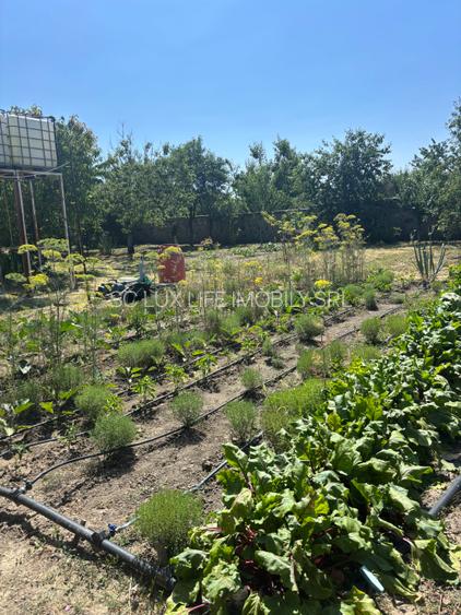 Vand casa in sag cu  gradina mare 277000 euro - 13