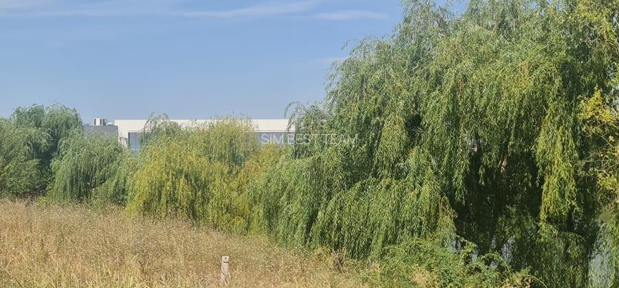 Teren Corbeanca Tamasi vsv de Paradisul verde 16000 mp deschidere lac - 6