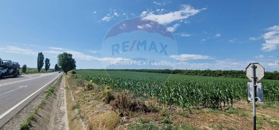 Teren de vanzare 32,000mp in Beresti-Bistrita jud. Bacau - 3