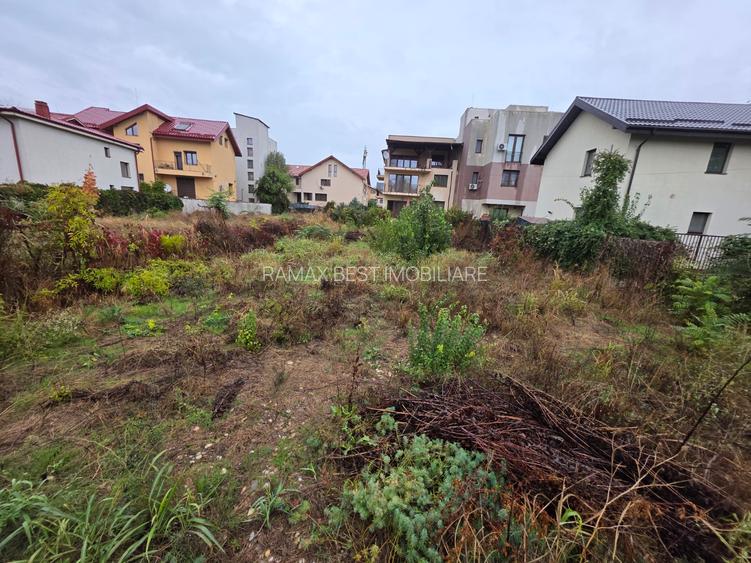 B-ul Nicolae Grigorescu, chiar la pasajul peste Spaliul Unirii, - 7