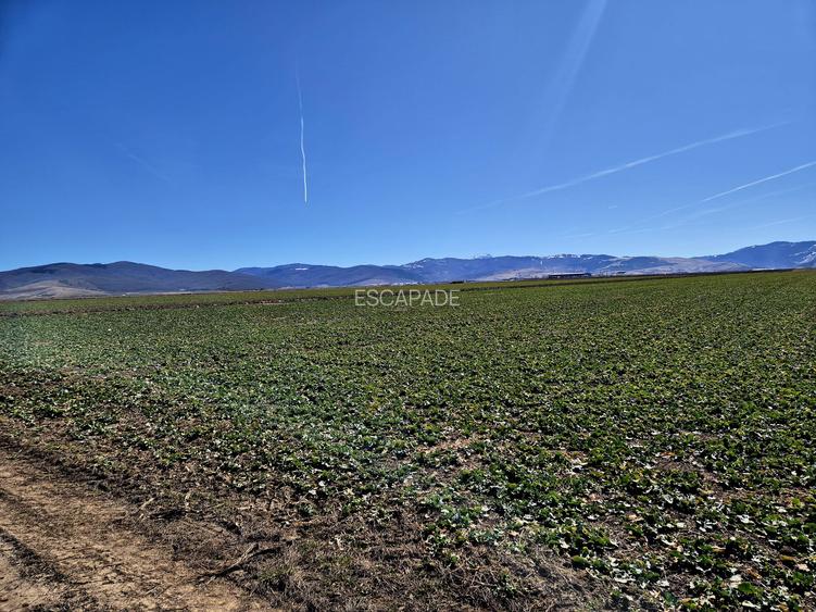 Teren extravilan de vânzare – Prejmer, Brașov | Potențial  pentru dezvoltare! - 3