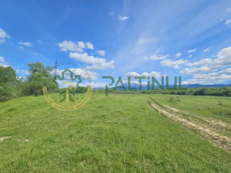 Teren de vânzare în Racovița, Sibiu – Valea Lupului - 2