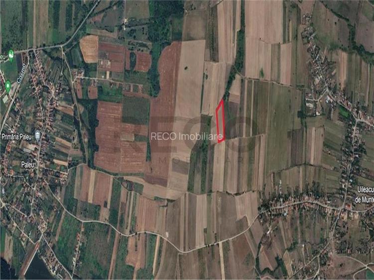 Teren mare extravilan in Uileacu de Munte - 5