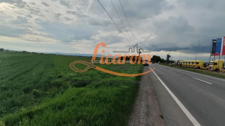 Teren Stupini Calea Feldioarei 11800 mp,25 euro/mp, front asfalt-DN13 - 4