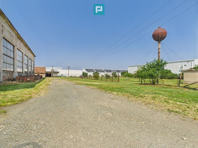 Hală pentru producție - 700 mp utili - 8