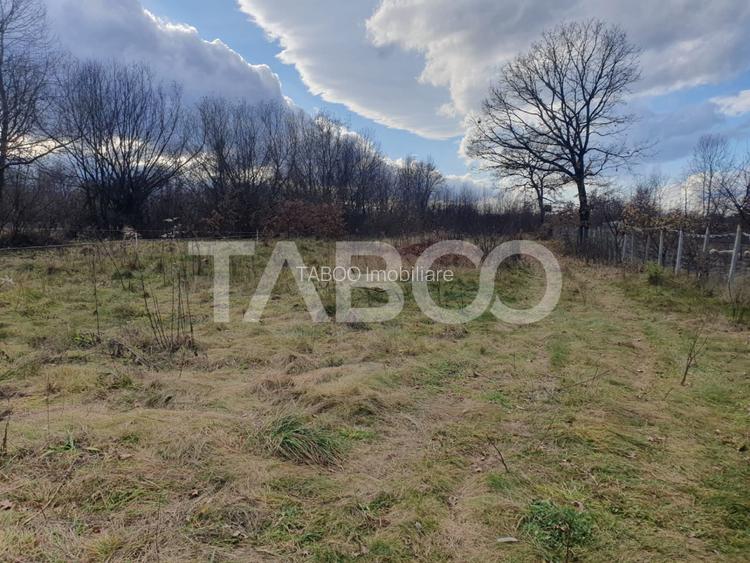 Comision 0 % Teren intravilan 2 cai de acces 3100 mp Savastreni - 2