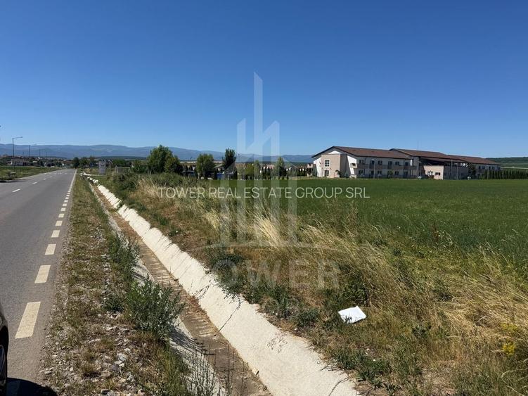 🌿 Teren 10.000 mp, Șura Mică – Ocna Sibiului | Investiție, COMISION 0% - 7