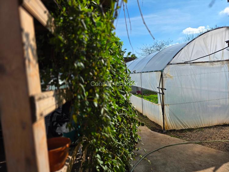 De de vanzare imobil corabia - 9