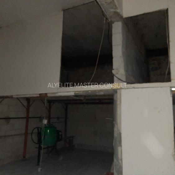 Hala- depozit de produse nealimentare si magazie, sector 2, Bucuresti - 5