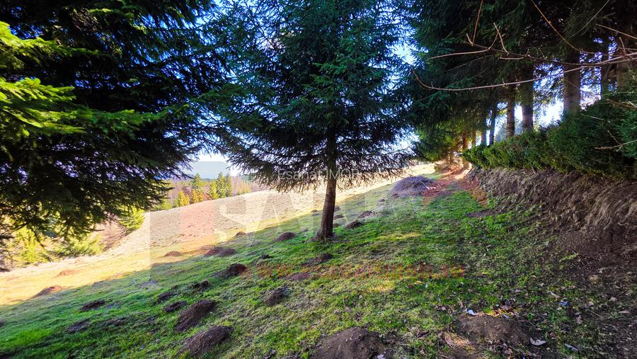 Proprietar | Teren Panoramic+PUZ + Cabana | Drumul Paltinisului |746mp - 9