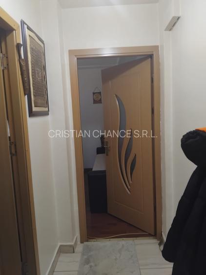 38741  Apartament 3 camere Sat Vacanta - 12
