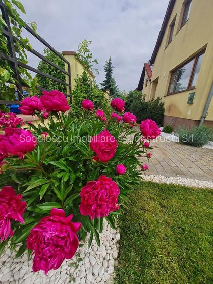 Vila spațioasă și recent renovată în Ghiroda! - 26