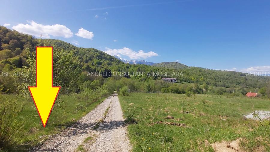 Vanzare 1266 mp teren superb Cheile Rasnoavei la munte langa padure si pensiuni - 14