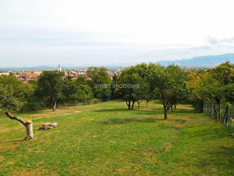 Teren Intravilan 3290 mp Codlea 3 Parcele - 5