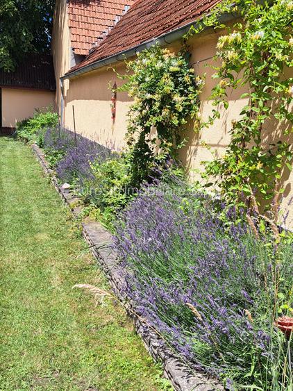 Casa individuala pe un singur nivel in Sibiu localitatea Cartisoara - 13