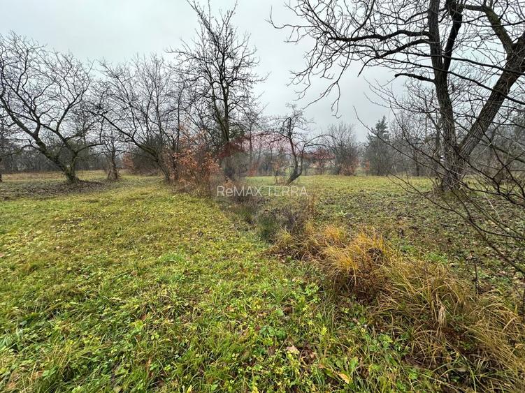 Tautii-Magheraus - TEREN  DE VANZARE - 4