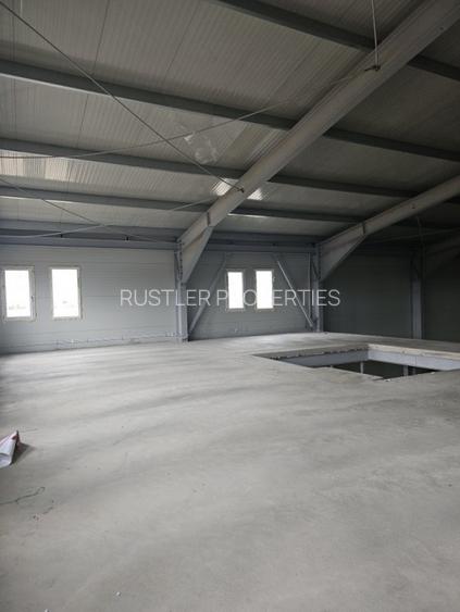 Hala de vanzare Balotesti - 5