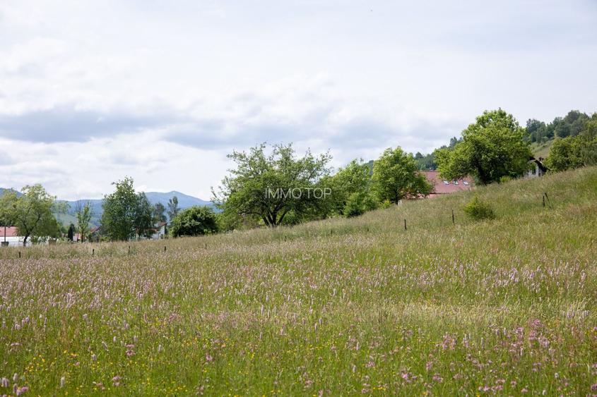 Teren intravilan - 1.050 mp în Bran cu utilitati – priveliște Bucegi - 7