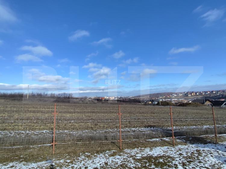 Cabana de lemn cu  700mp intravilan, Ciurea - 2