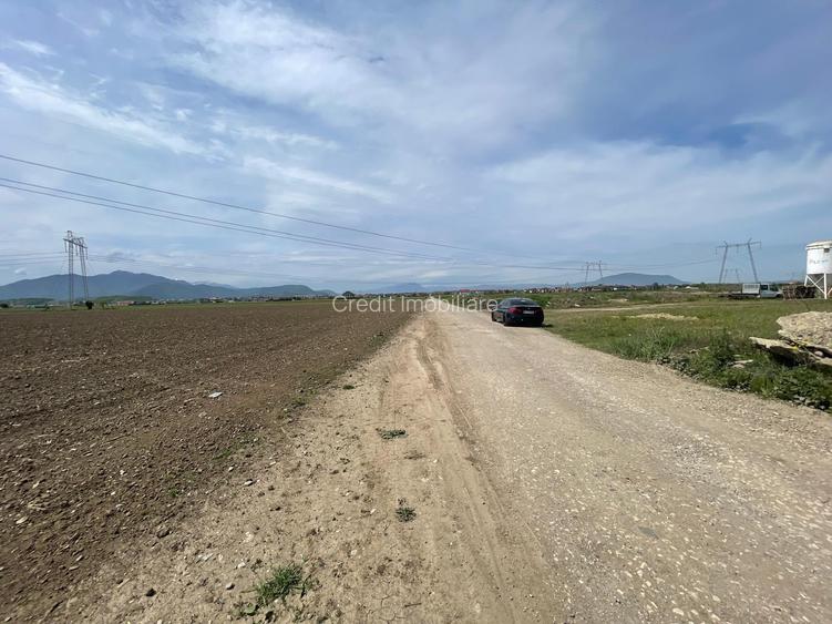 Teren Sanpetru str. Sfantul Andrei 32.100mp ! - 3