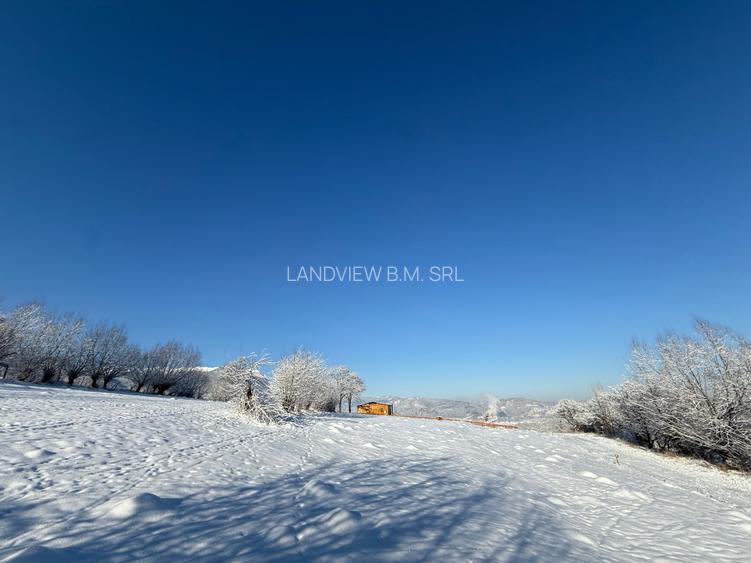 Teren intravilan intre 500 si 1000 mp   in zona Bran - 3